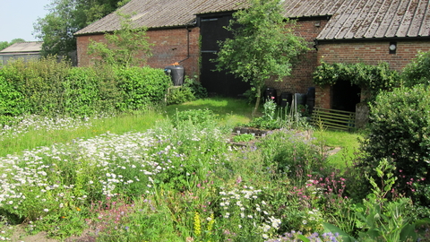 Barn garden