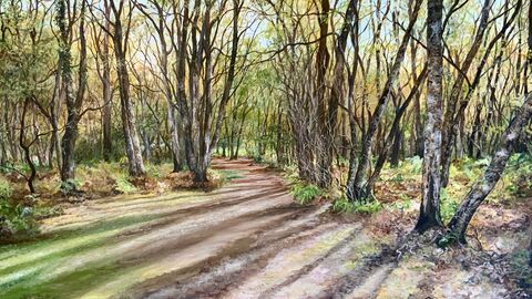 Knettishall heath by Ruth Simpson