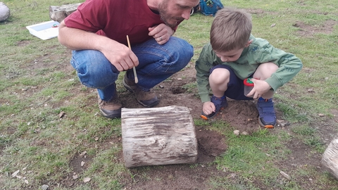 an adult and a child look under a log for minibeasts