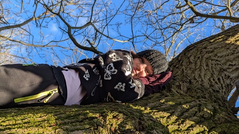 girl in a tree