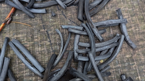 Willow Charcoal