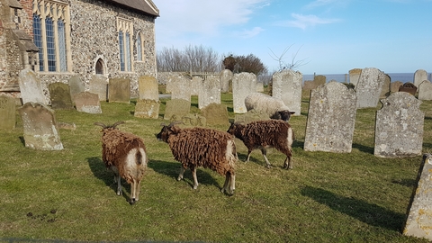 Pakefield Church