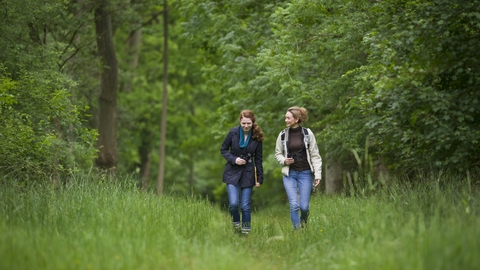 wild walk people
