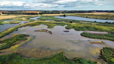 A wetland landscape viewed from the air with pools of freshwater and scrub habitat