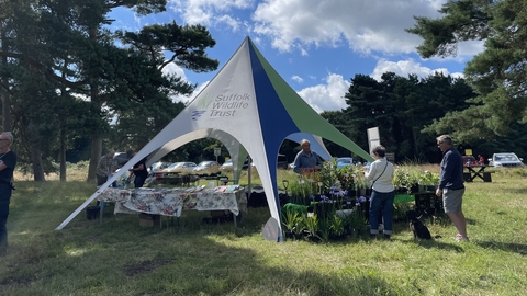 heath day at knettishall 2024