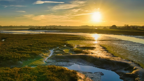 Sunrise over a wetland estuary with pools, mudflats and saltmarsh