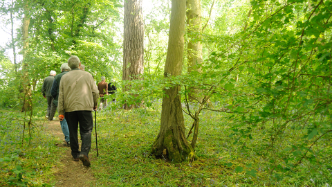 30 Days Wild care homes