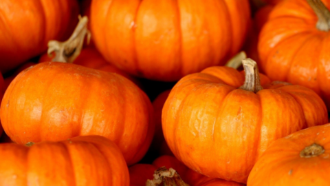 Pumpkins