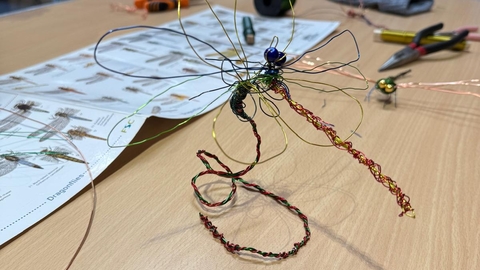 Wire Dragonfly- Paul green course