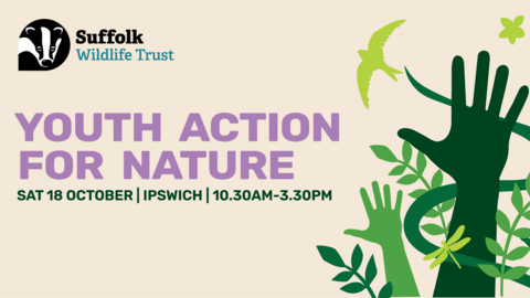 Youth Action for Nature