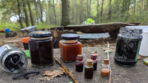 wild inks