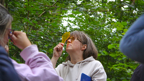 forest school training Jesse Walker