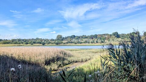 Martlesham Wilds Sept 2025