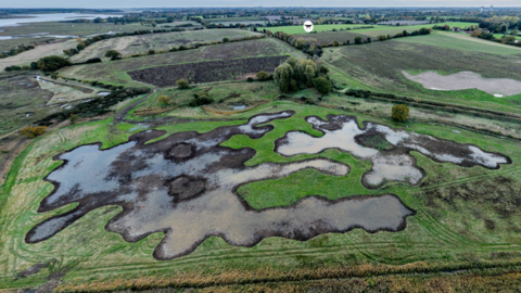 new scrape filled with water