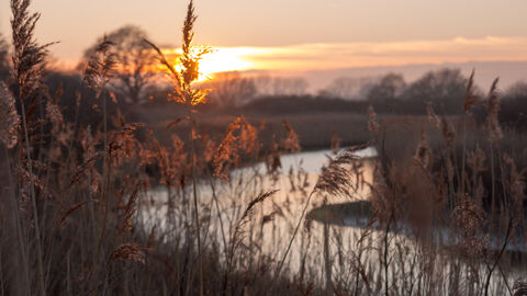 Suffolk river at sunset