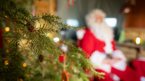 A close up of a pine tree with a santa in a blurred background