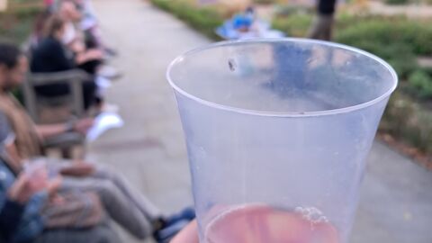 One of the cocktails on a Wild Cocktail event