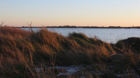 A sunset view looking over long grass toward open water