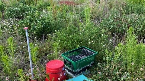 Soil eco acoustics, courtesy Helen Bynum