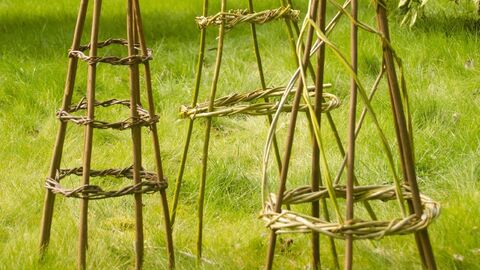 woven willow gardening climbing tripods