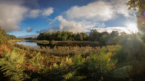Lound Lakes, Autumn 2025