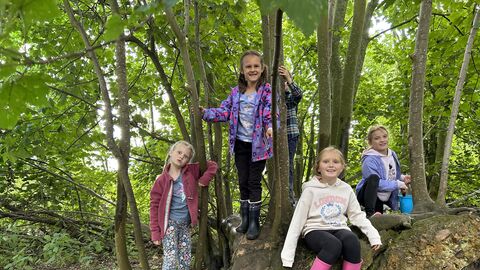 children in the woods