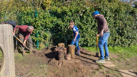 creating stag beetle stacks