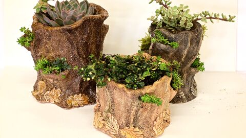 Three clay planters in the shape of tree stumps with foliage and plants in them