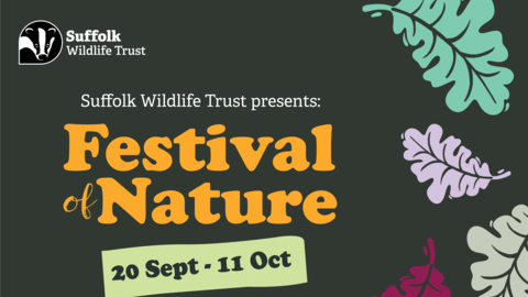 Festival of Nature 2026