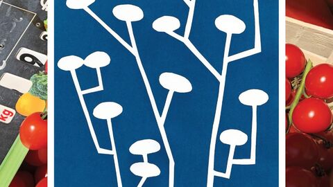 Childrens cyanotype workshop 