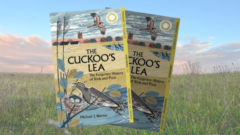 The Cuckoo's Lea 