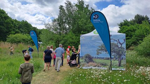People walking through wildflowers as they enter the show area