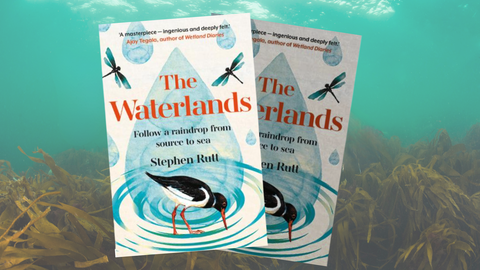 The Waterlands Bury Literature Festival 