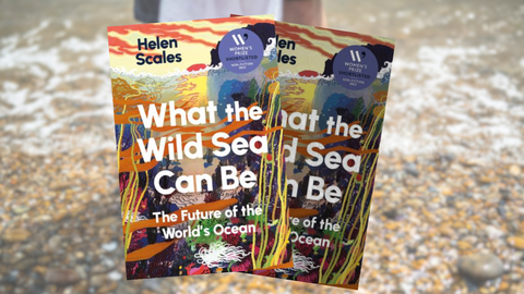 What the wild seas can be 