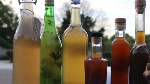 Wild Cocktails 