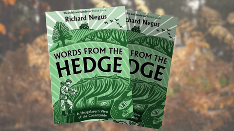 Words from the hedge 