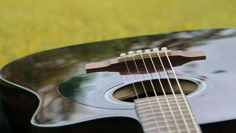 Acoustic Guitar 