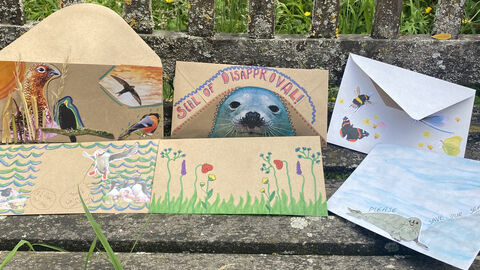 A selection of envelopes covered in nature-related designs