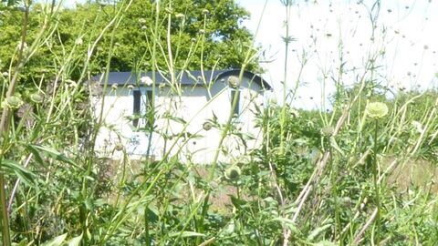 Alde Valley Group - Wolsey Farmhouse open garden 2026