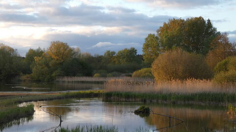 View over lake and reedbed