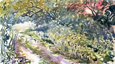A watercolour painting of a wooded path 