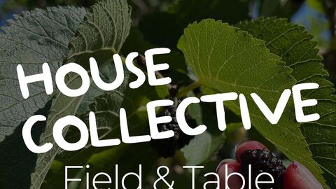 House Collective Field & Table
