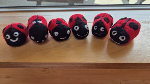 Needle felted ladybird-Stephanie May 