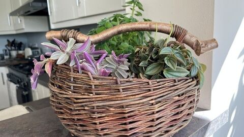 2 woven willow baskets