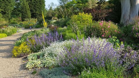 Image of garden planted for a drier climate