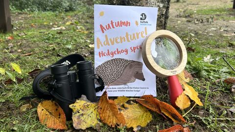 Autumn Adventure at Lackford Lakes