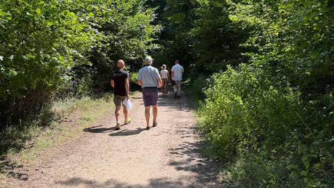 People attending the summer netwalking event, walking through a reserve aligned with trees either side of the path