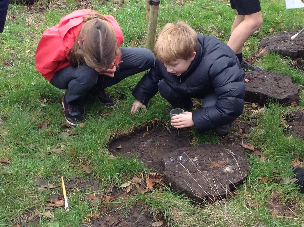 Wilder School Wortham Primary Suffolk Wildlife Trust