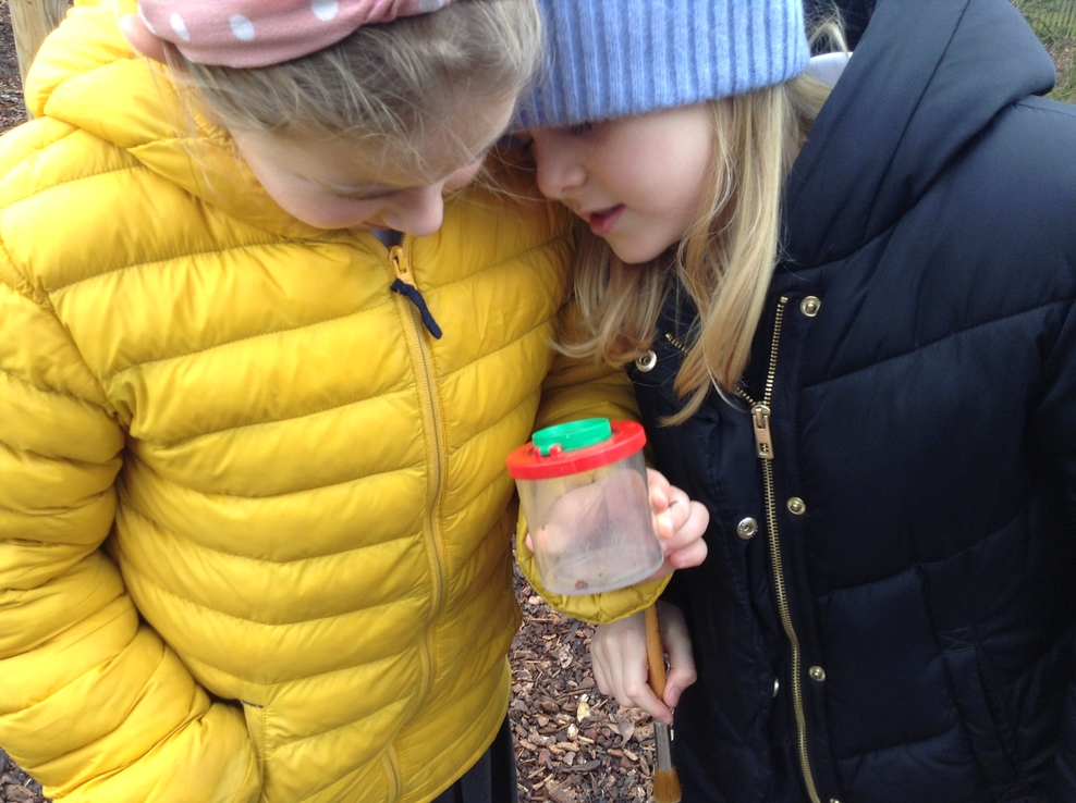 Wilder School Wortham Primary Suffolk Wildlife Trust