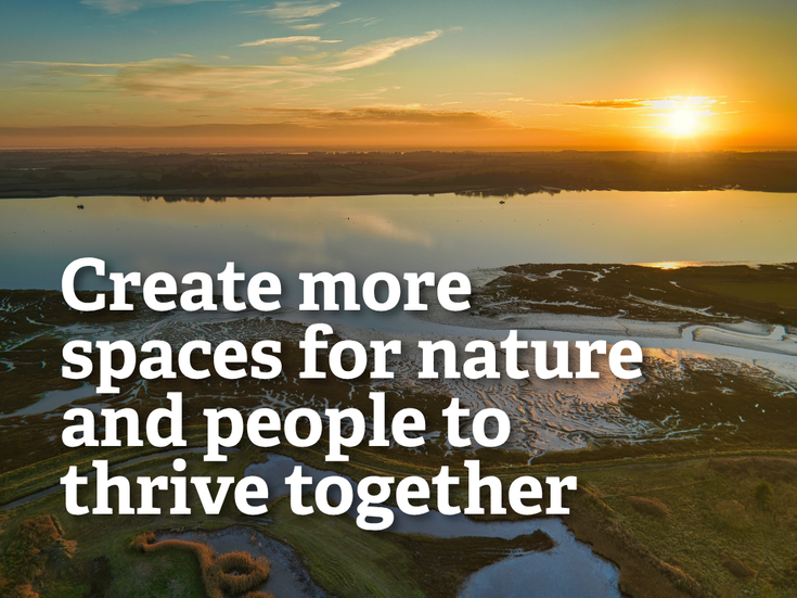 We're joining forces to put nature first ahead of local elections ...